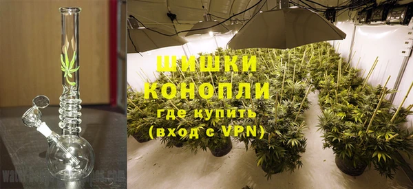 MESCALINE Аркадак