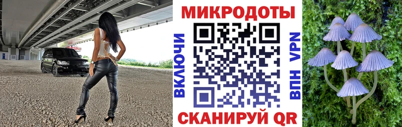 Галлюциногенные грибы прущие грибы  Сычёвка 
