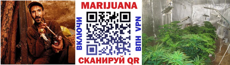 как найти закладки Сычёвка Марихуана тримм